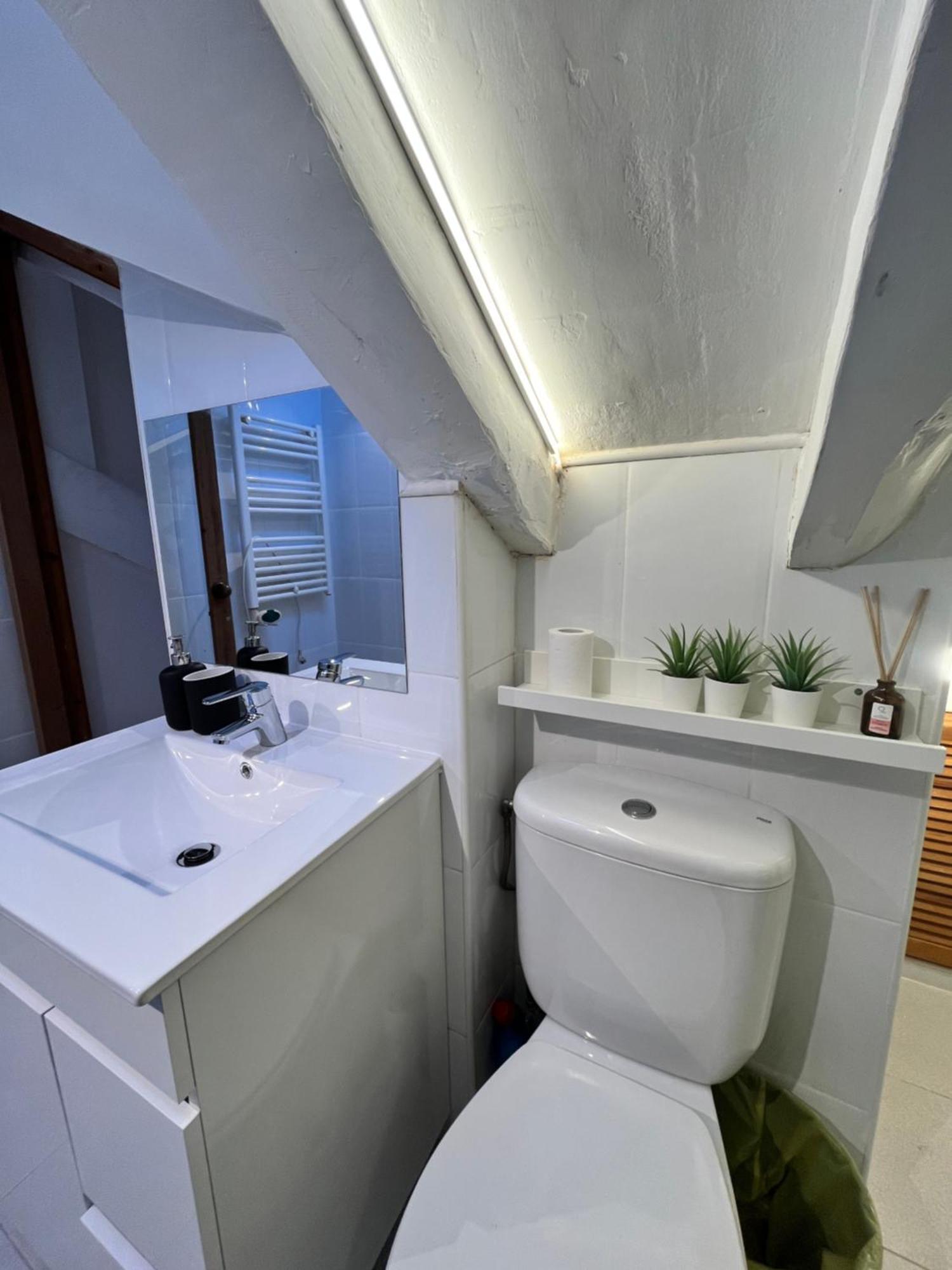 Acogedor Espoz Temporal Appartement *